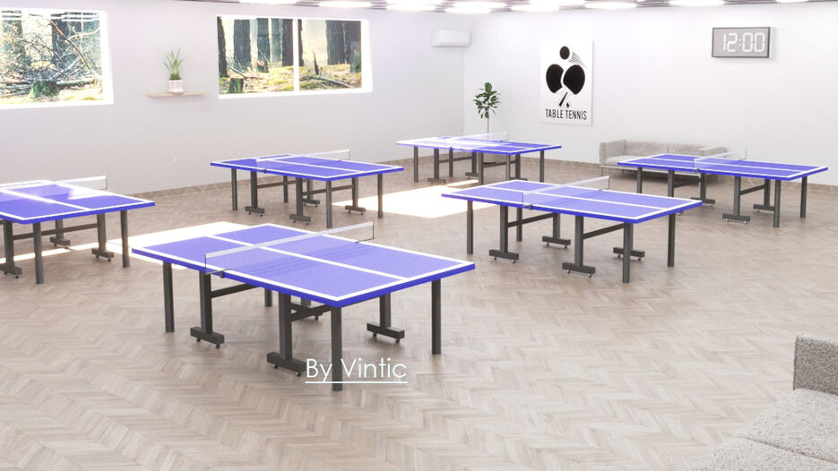 Vintic-Tenis-2.jpg