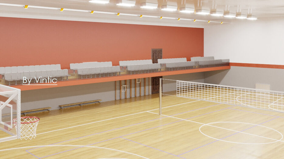 Vintic-Sport.jpg