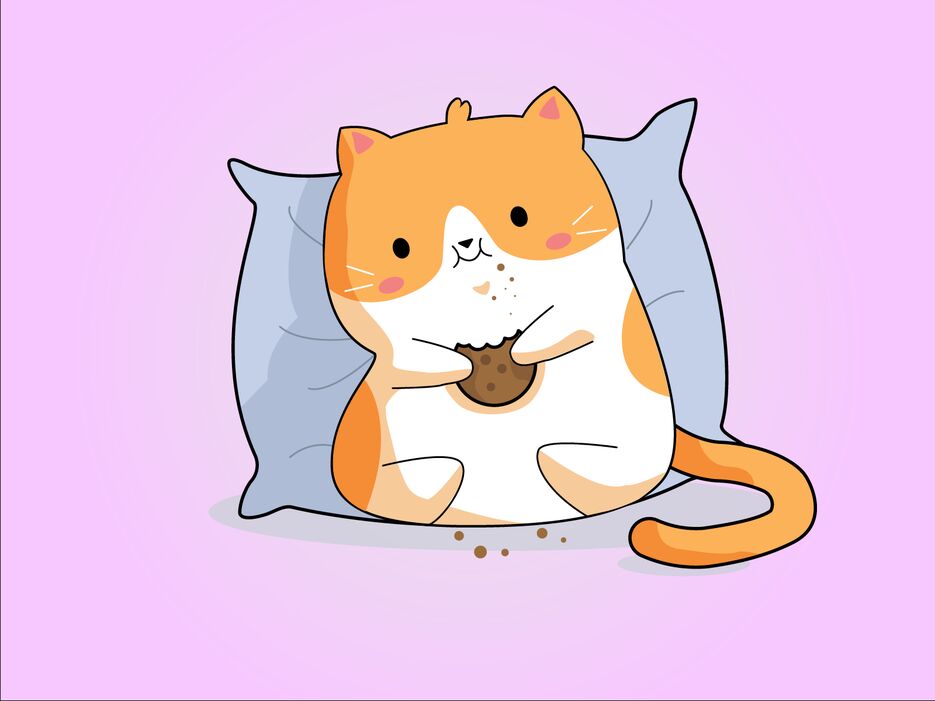 КОТИК_Монтажная область 1.png