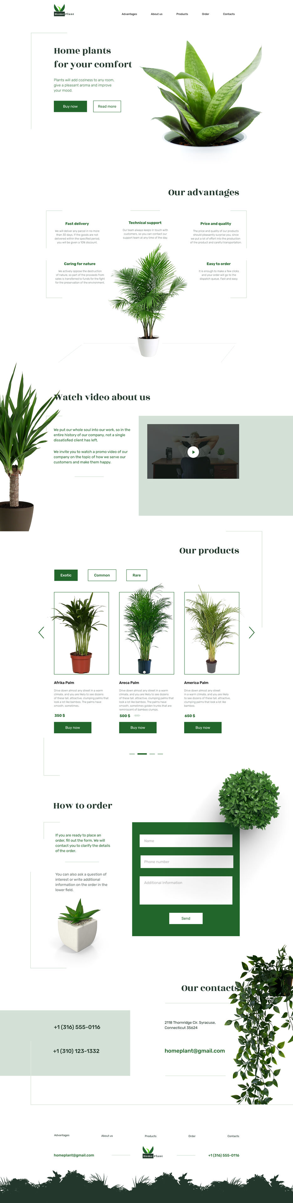 plants landing.jpg