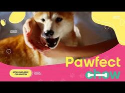 Реклама Pawfect Chow