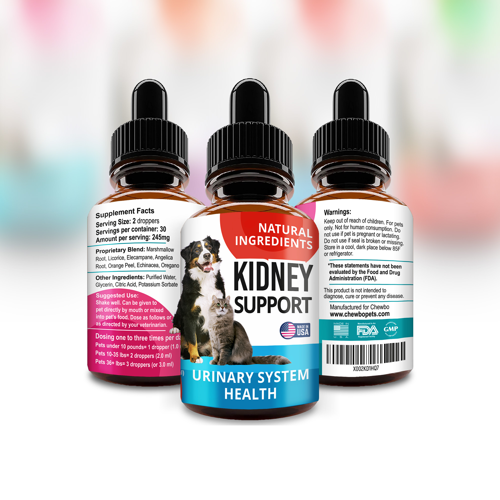 Promo [3] Layout_Kidney-Support