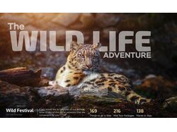 Дизайн промо-сайта "The Wild Life adventure"