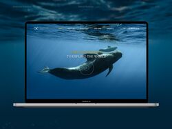Redesign landing «Whale Watching Russia»