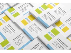 Agristatis_Business card