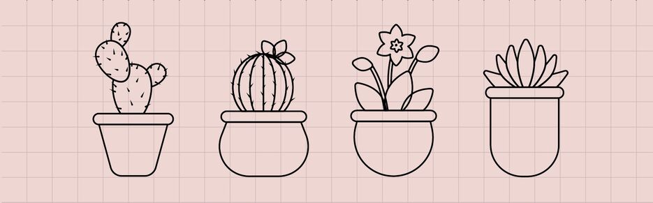 houseplants 2@3x.png