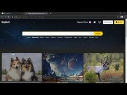 Бот для сайта SEO-FAST.com