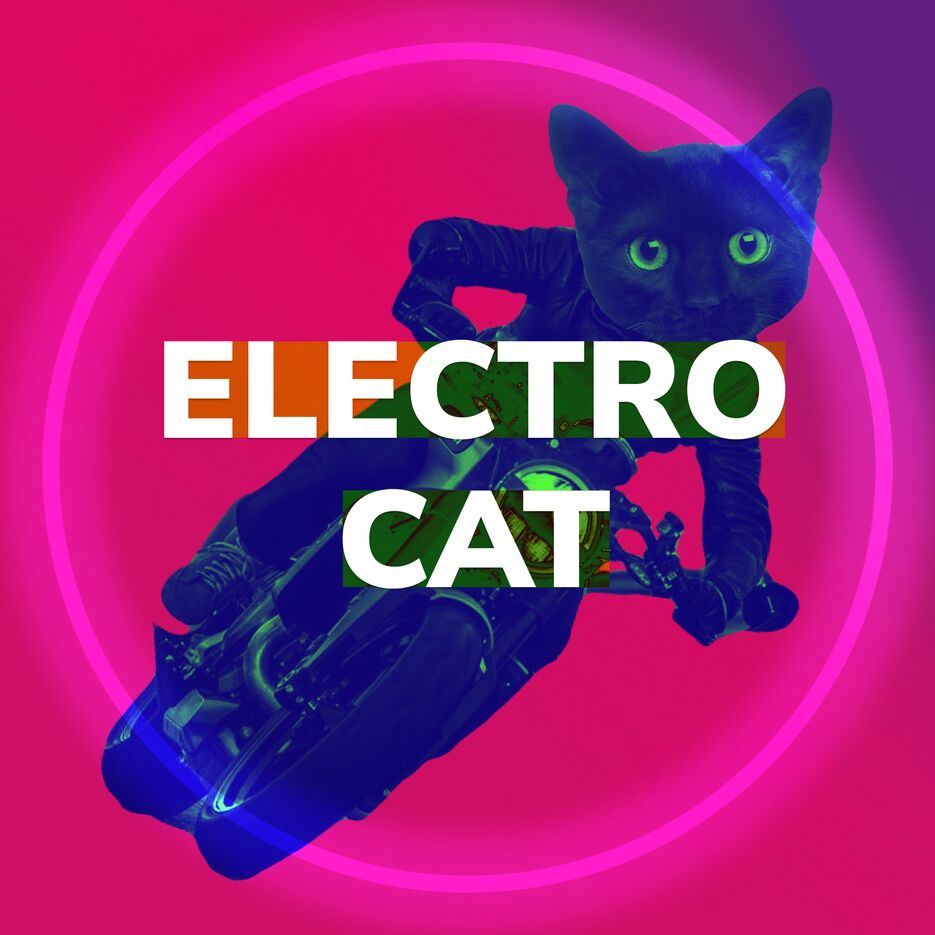 36C0FAC0-8706-4B77-BDBD-7F0CAB3B7E5C.png