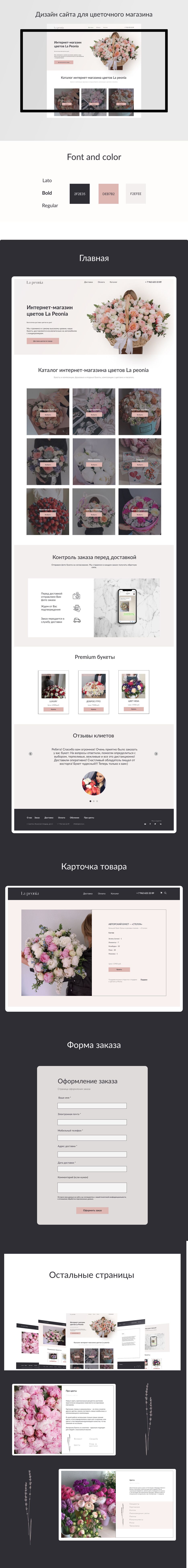 портфолио.png