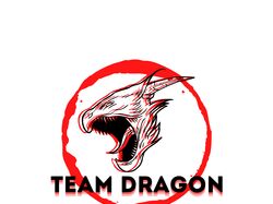 Лого TeamDragon