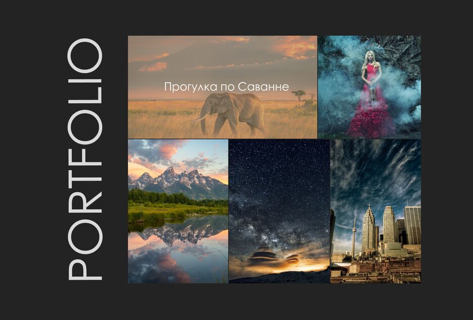 portfolio.png