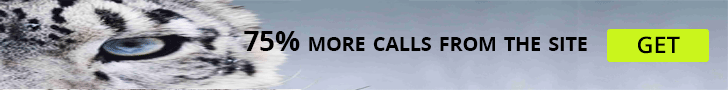 Banner-3-Callhunter.gif