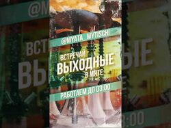 Анимация для заведения