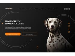 Landing page for animal shelter