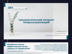 Дизайн презентации