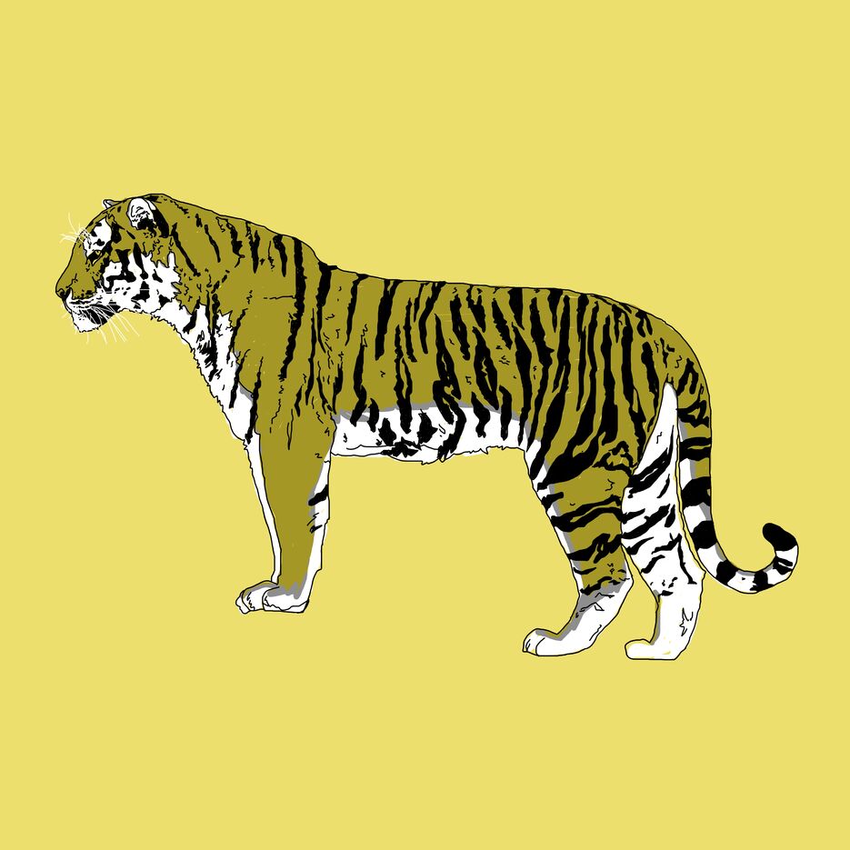 тигр2.png