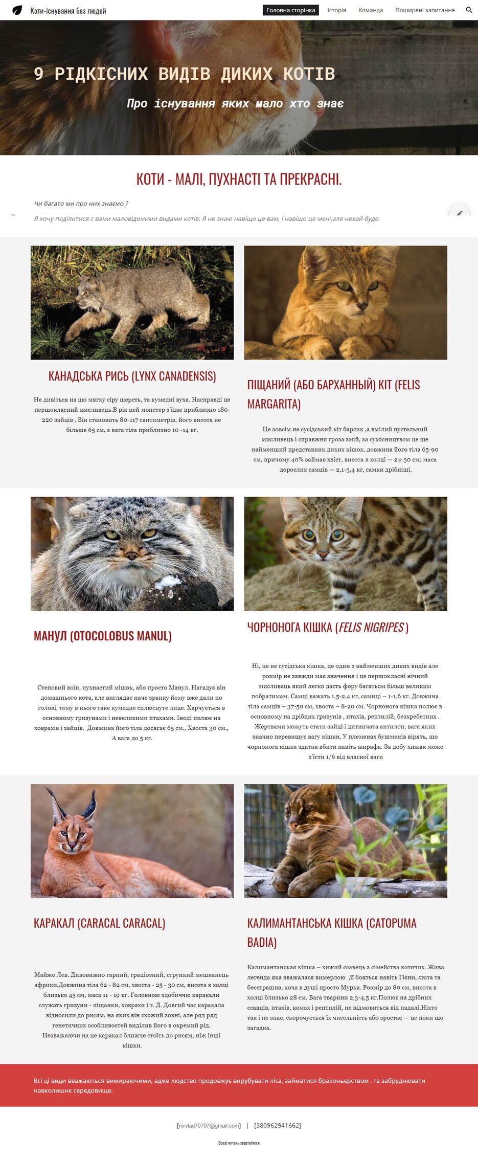 FireShot Capture 001 - Коти-існування без людей - sites.google.com.png