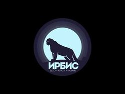 Музыкальный клип