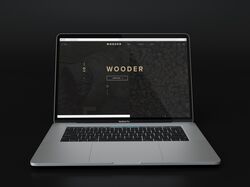 Верстка сайта для фирмы WOODER
