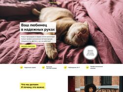 dog friendly / сайт отеля для питомцев