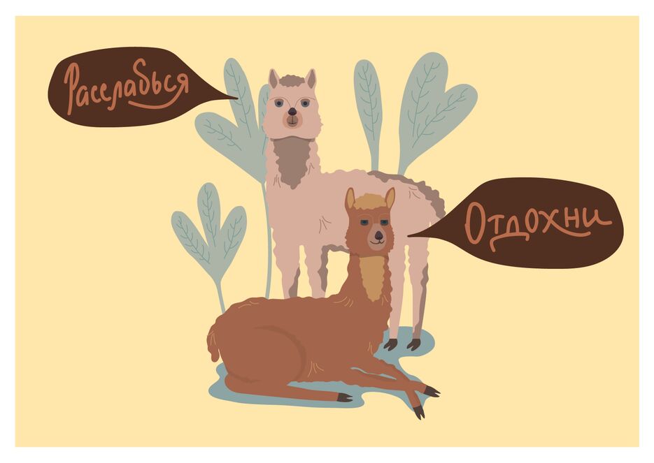 лама-03.png