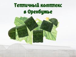Рекламный баннер. Оренбургская теплица.