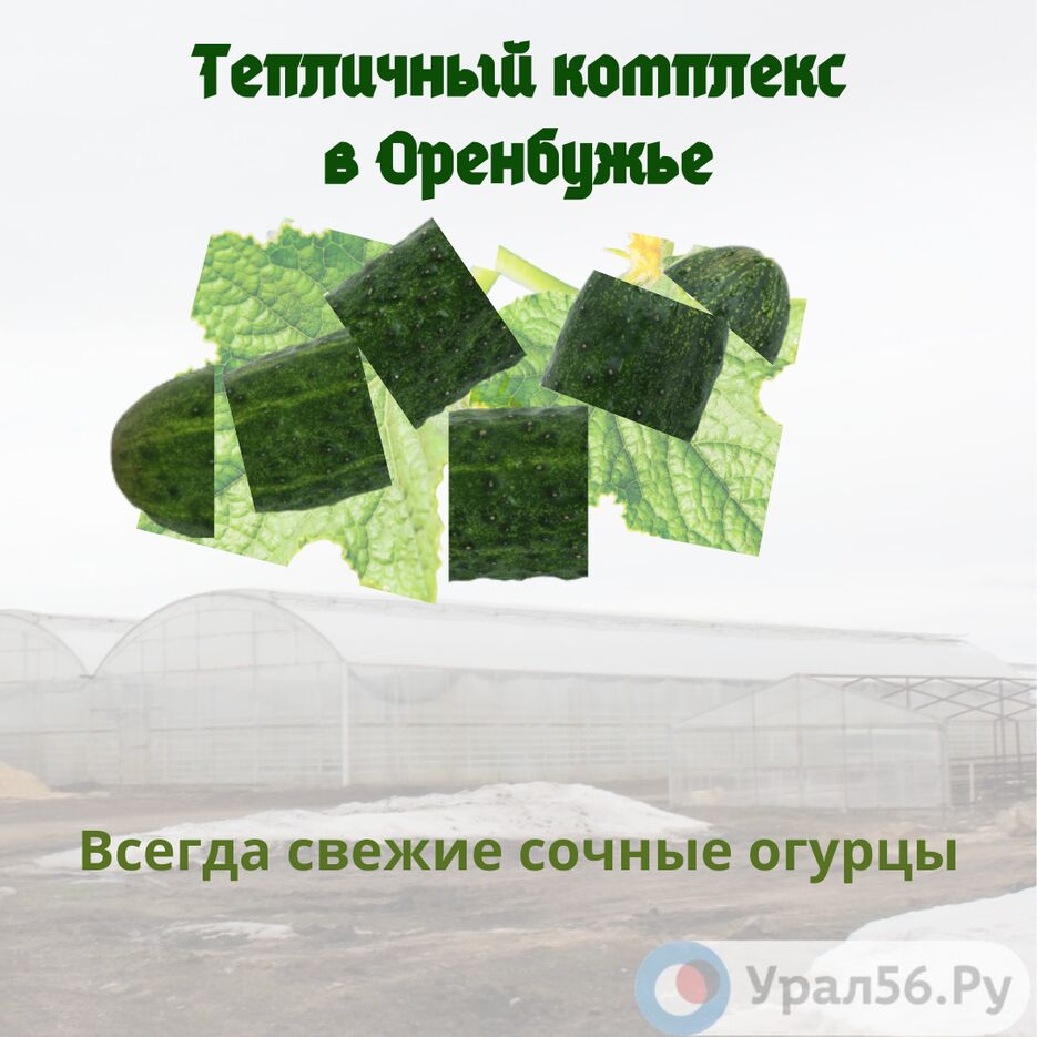 Теплицы Оренбуржья.png