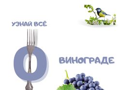 Рекламный баннер Узнай всё о винограде.