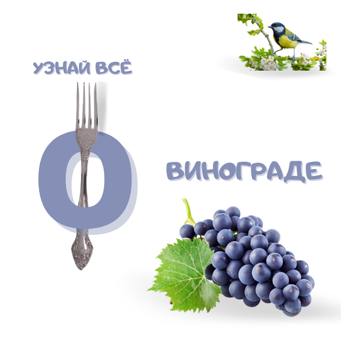 Польза (4).png