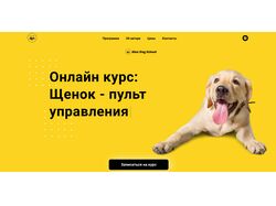 Лендинг + онлайн курс