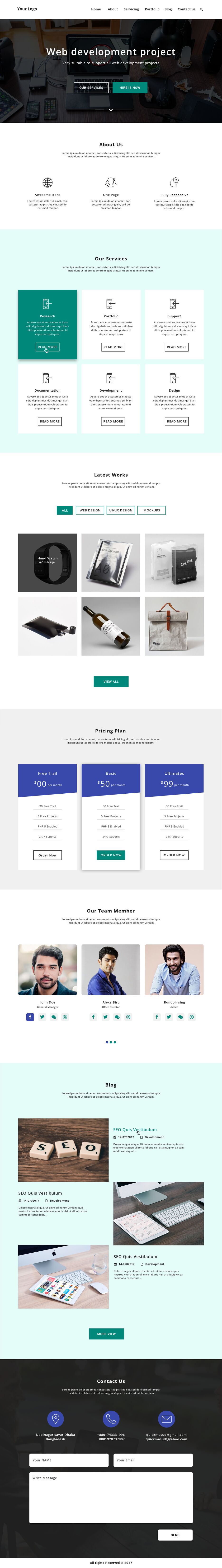 Web Development Project.psd.png