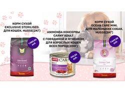 Баннер для сайта кормов для животных