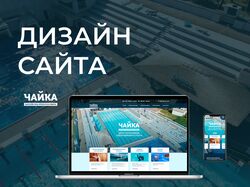 Дизайн сайта. Бассейн чайка