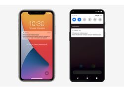 Push уведомления во Flutter приложении