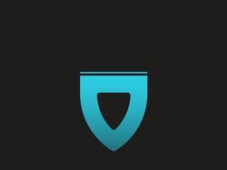 VPN