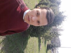 Специалист по созданию сайтов