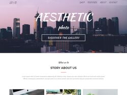 Aesthetic (Fashion Gallery)