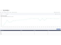 SEO №1