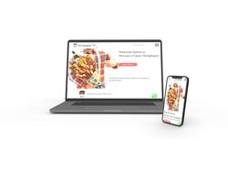 Разработка сайта Pro-bouquet