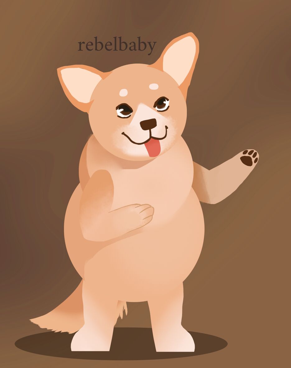 корги3.png