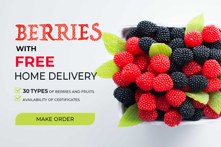 BERRY.jpg