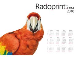 Календарь "Radoprint" вариант 2