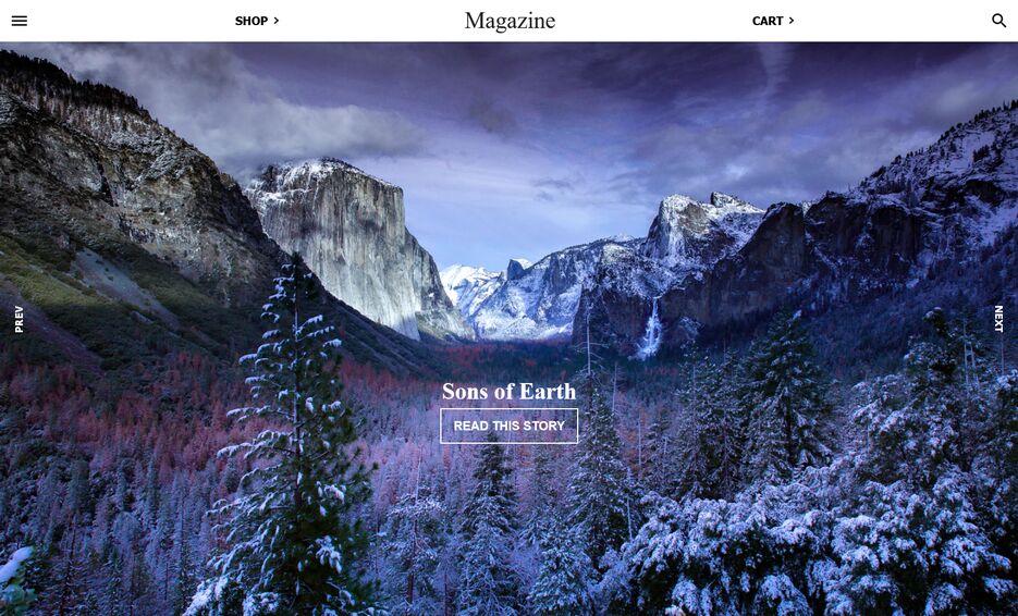 Screenshot_2021-05-10 Internet magazine.png