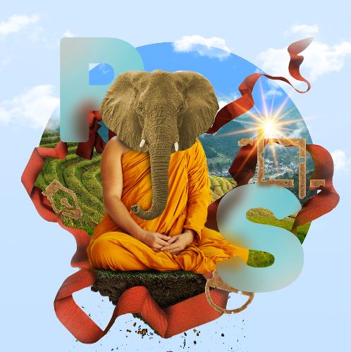 5.JPG