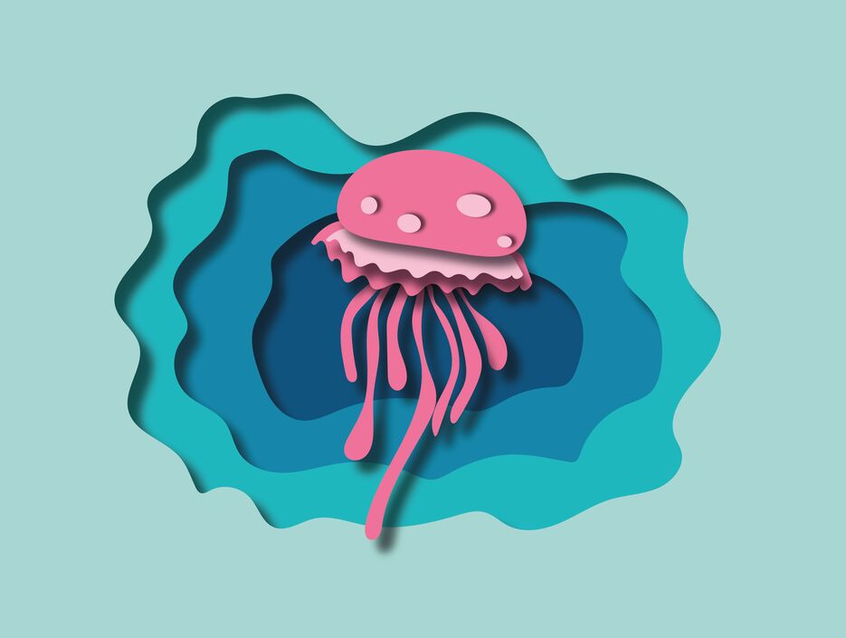 Jellyfish.png