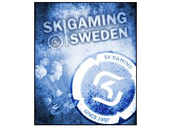 SK|Gaming avatar