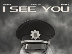 I see you