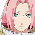 AnImark1