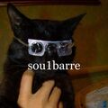 sou1barre
