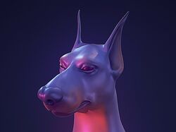 Dobermann